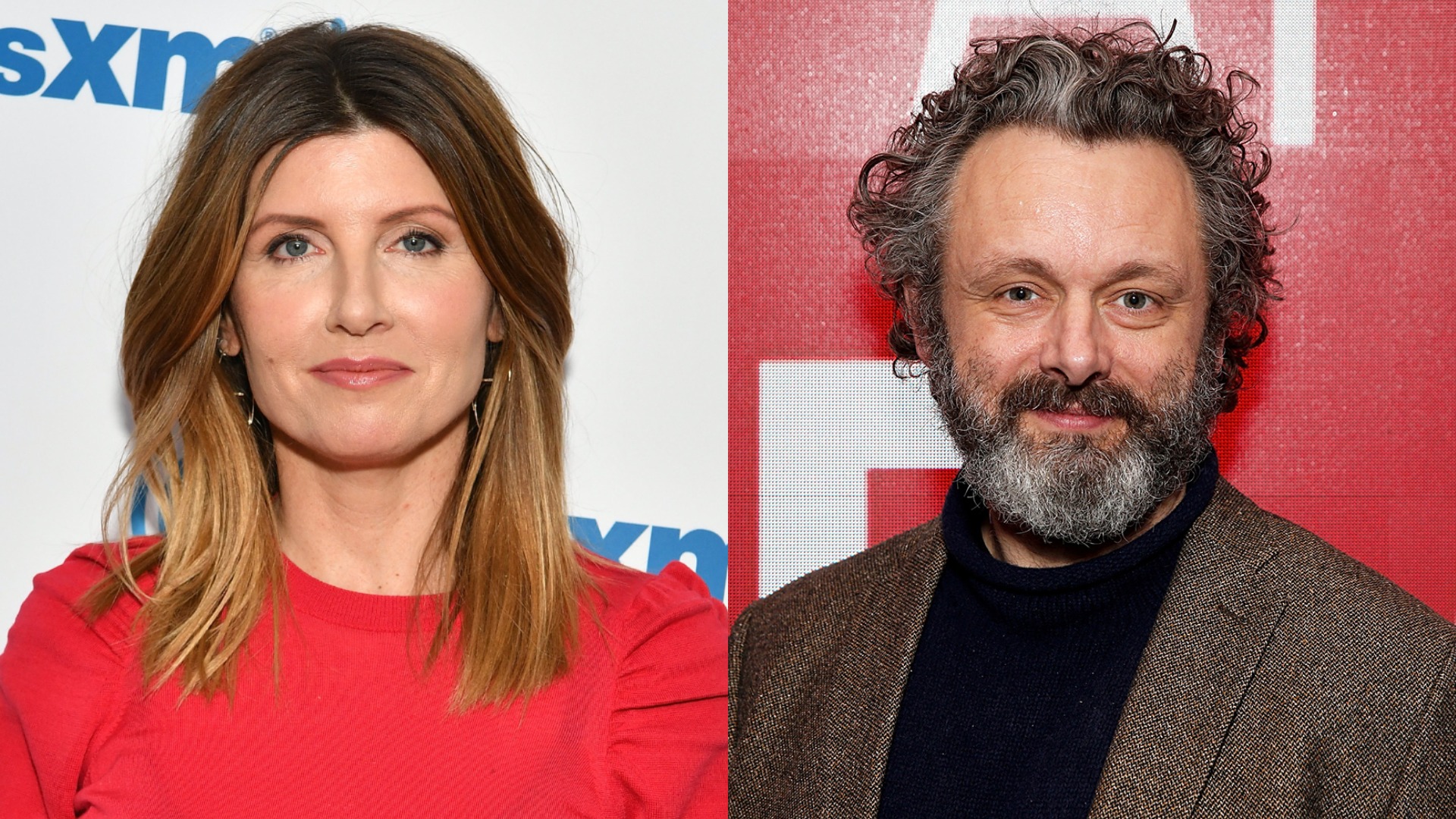 Media outlets are reporting that Sharon Horgan and Michael Sheen have been announced as the leads for the Jack Thorne-scripted BBC One drama Best Interests.
